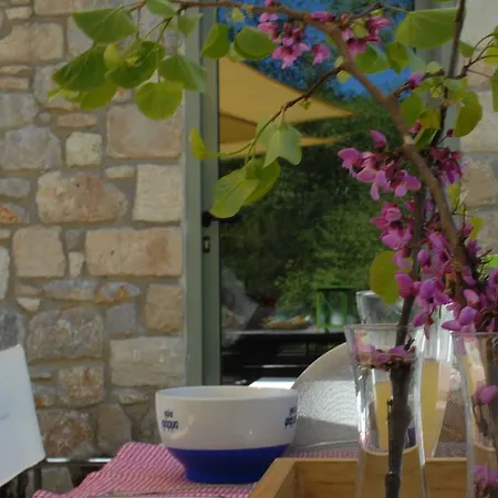 Pili Country House * Pilí